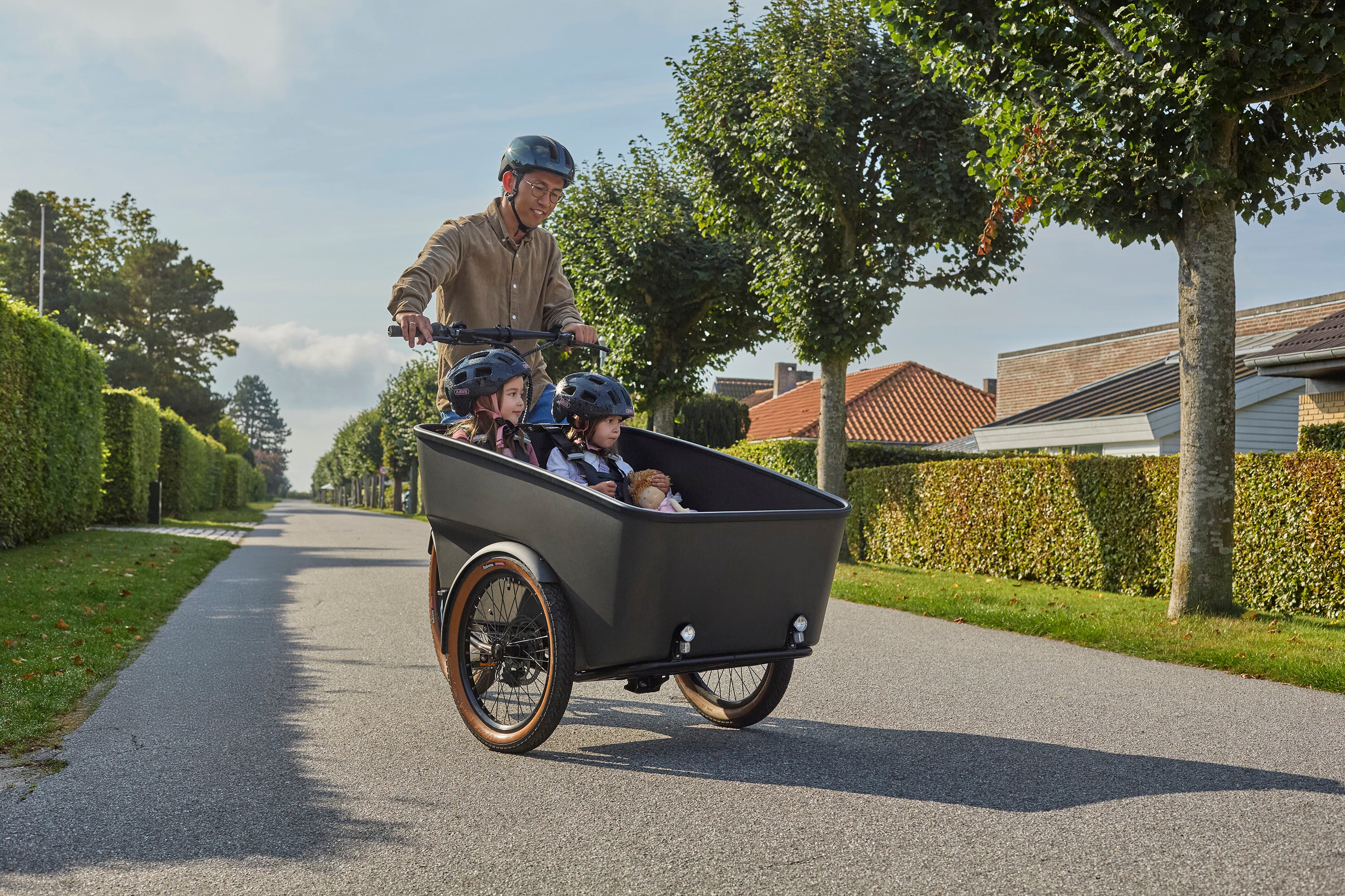 Dynamic Cargo 3 | Bakhjulsmotor