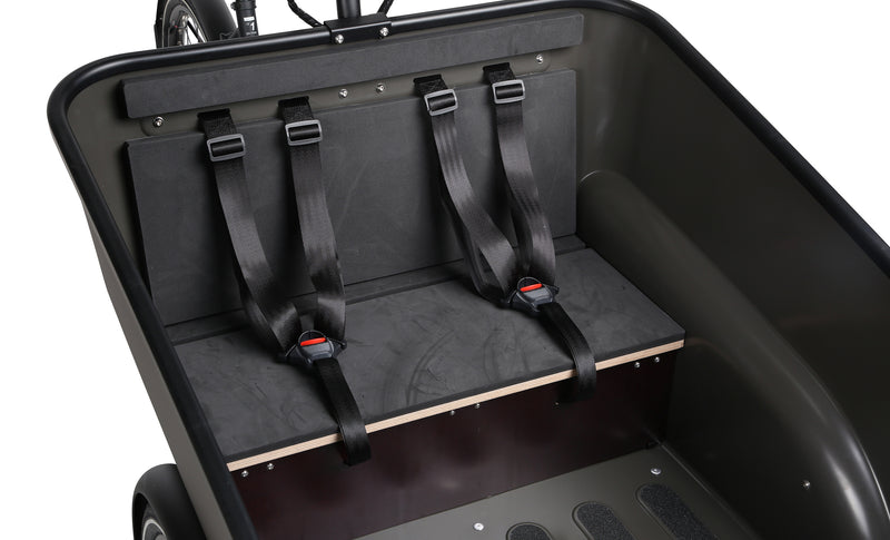 Dynamic Cargo 3 (GEN1) | Mittmotor
