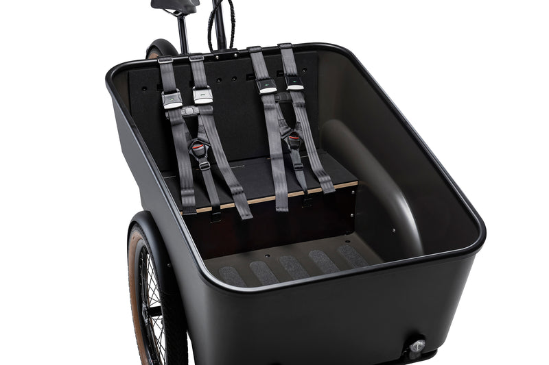 Dynamic Cargo 3 | Mittmotor