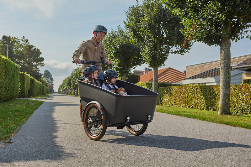 Dynamic Cargo 3 | Bakhjulsmotor